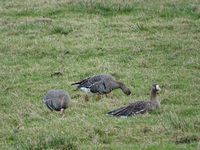 目睹了库里 目睹了库里